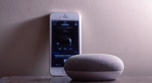 smart speaker